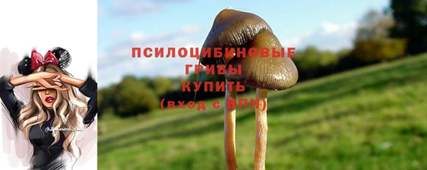 кокаин перу Вяземский