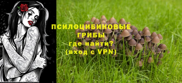 крисы Вязники