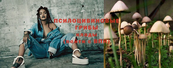 крисы Вязники
