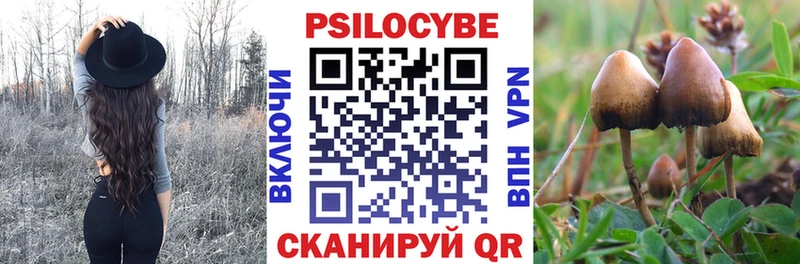 Псилоцибиновые грибы прущие грибы  Купить  Свирск 
